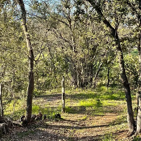 别墅 La Provencale